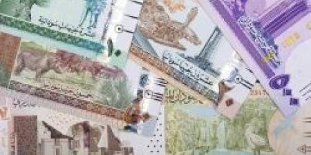 سعر الجنيه السوداني مقابل الريال السعودي اليوم الخميس 17 أكتوبر 2024 في ختام التعاملات بسوق العملة - الخليج برس