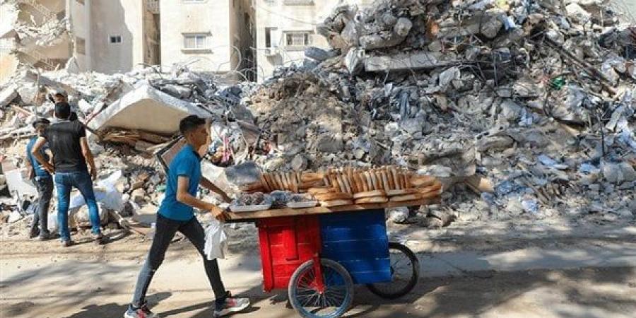 خبير عسكرى: 100 ألف فلسطينى مُصاب فى الحرب على غزة