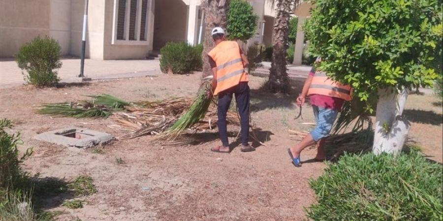 زراعة 100 شجرة مثمرة بمنطقة الخامسة في الإسماعيلية (صور)