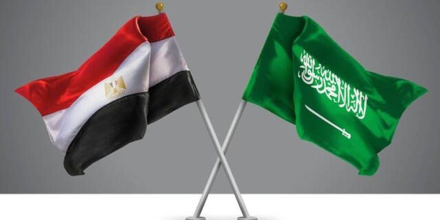 مدبولي: الاتفاقيات الأخيرة بين مصر والسعودية تعزز زخم الاستثمارات المشتركة - الخليج برس