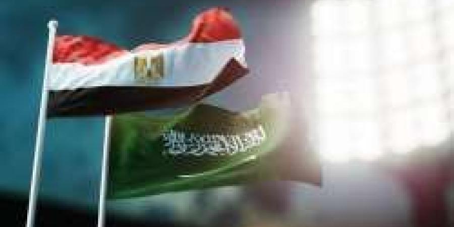 8.3 مليار دولار تحويلات المصريين العاملين بالسعودية وطفرة فى الاستثمارات بين البلدين - الخليج برس