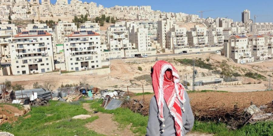 الأمم المتحدة: استشهاد 700 فلسطيني وتدمير 600 شجرة زيتون بالضفة الغربية