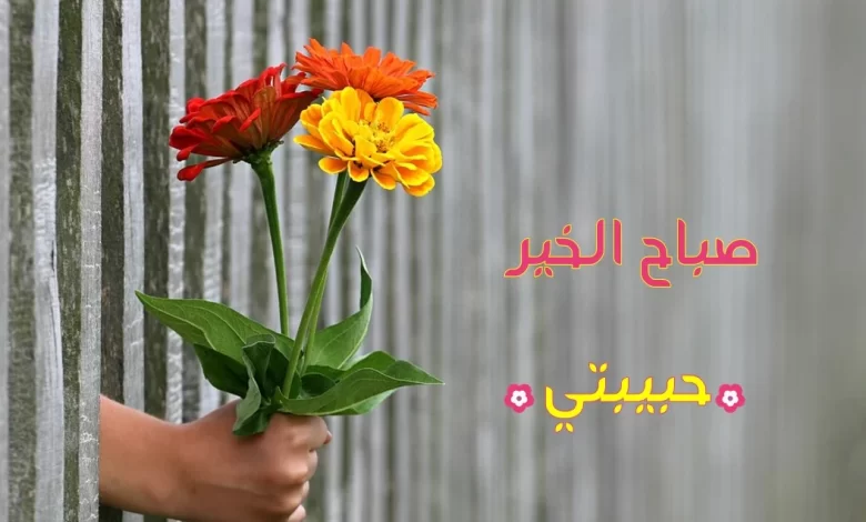 أجمل عبارات صباح الخير والسعادة