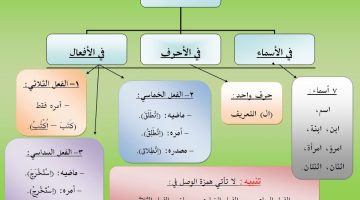 أمثلة على همزة الوصل في الأفعال. همزة الوصل مثال