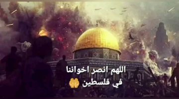 اجمل الصور والعبارات عن فلسطين