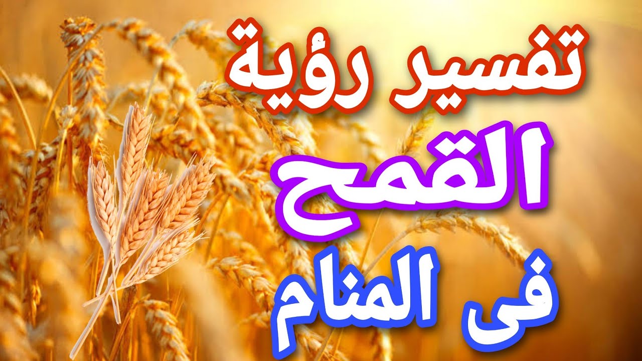 تفسير حلم الغله القمح للمتزوجه والغلة الخضراء