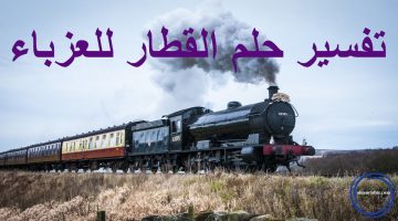 تفسير حلم القطار للعزباء 0