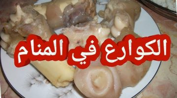 تفسير حلم الكوارع في المنام