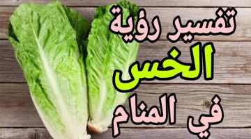 تفسير رؤية الخس