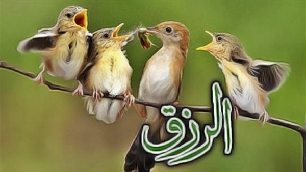 دعاء الرزق الذي لا يرد.. ما هو الدعاء الذي يجلب الرزق بسرعة؟