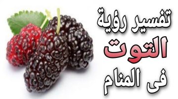 رؤية التوت في الحلم