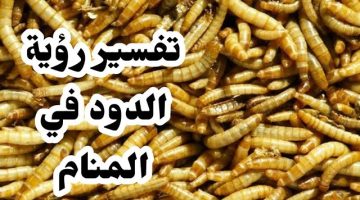 رؤية الدود في المنام