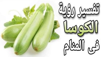 رؤية الكوسا في المنام