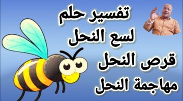 رؤية قرص النحل في المنام للمتزوجة