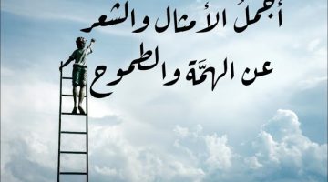 شعر عن الطموح. اجمل ما قيل عن الامل والطموح؟