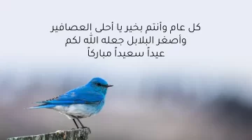 شعر عن العيد