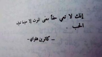 ماذا يقول المثل عن الحب؟ أجمل حكم عن الحبيب