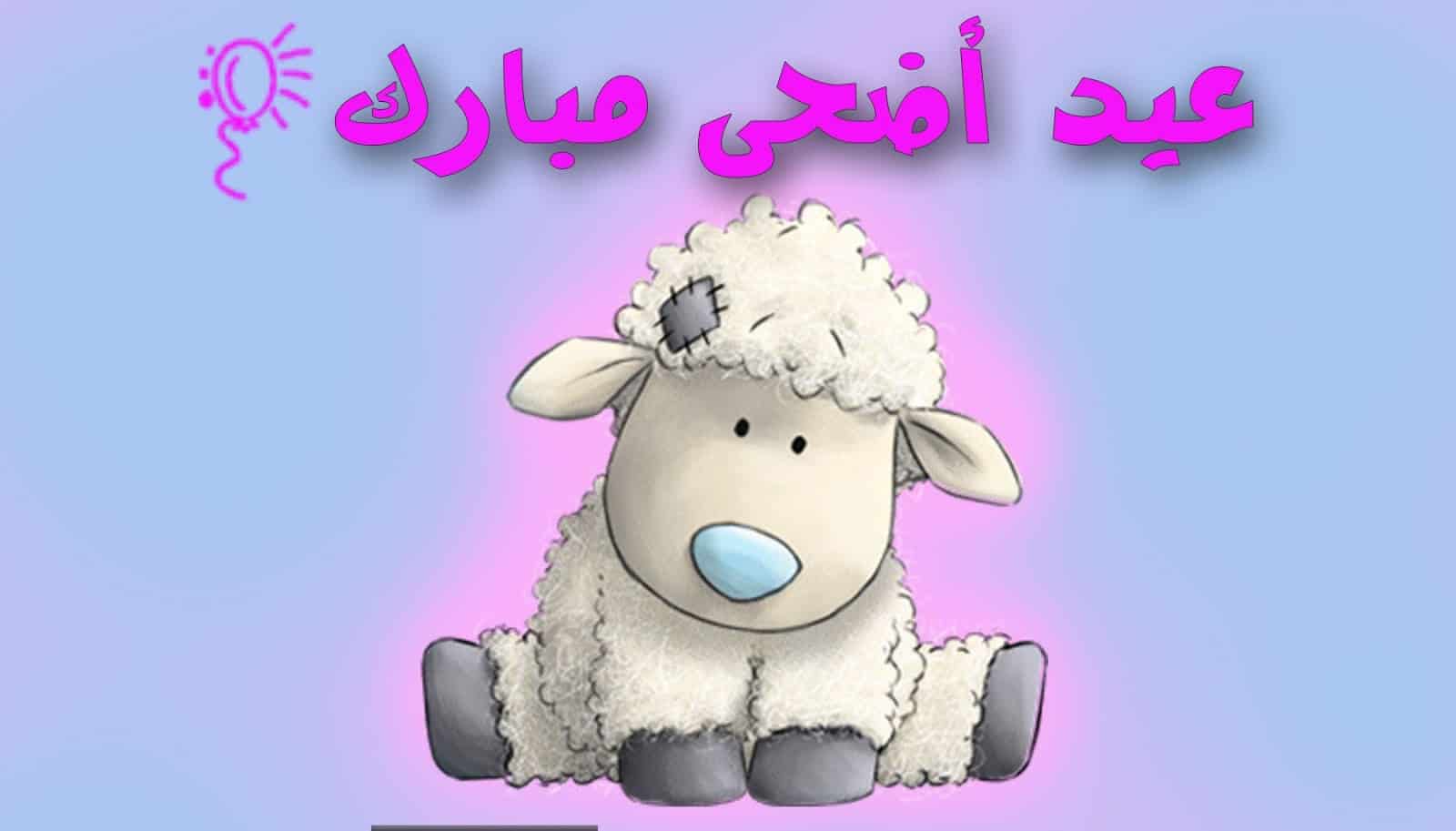 ماذا يقال في عيد الأضحى.. كيف اهني شخص في عيد الاضحى؟