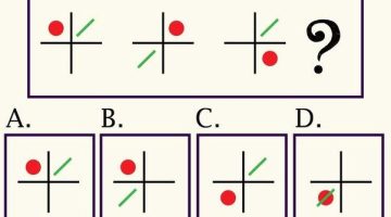 أسئلة اختبار ذكاء عامة. ما هي أسئلة اختبار الذكاء؟