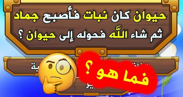 +30 أسئلة دينية قوية الإسلامية