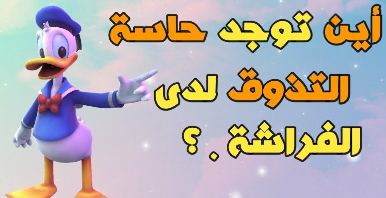 50+ أسئلة ذكاء للاطفال واجوبتها مع الخيارات