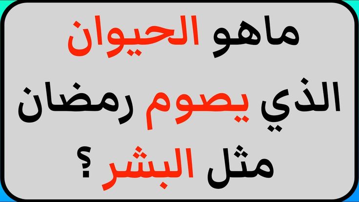 10+ أسئلة عامه دينيه وأجوبتها.. أجمل سؤال وجواب ديني