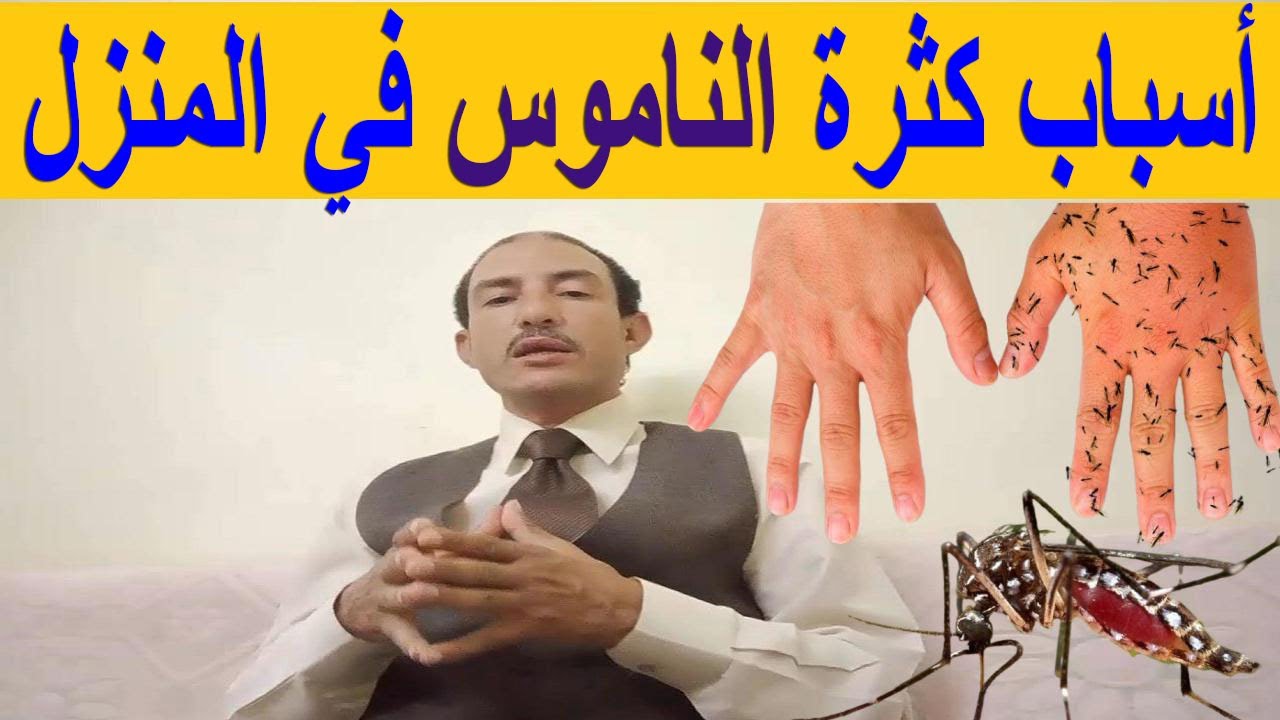 أسباب كثرة الناموس في المنزل وطرق التخلص منه