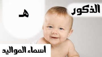 أسماء أولاد بحرف الهاء