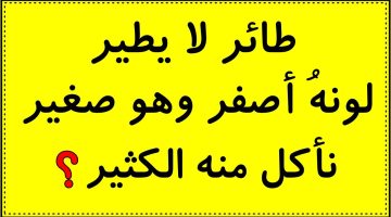 ألغاز مع الحل مكتوبة بالعربية للاطفال