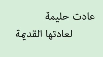 أمثال شعبية قديمة يمنية. من اقوى الأمثال الشعبية؟