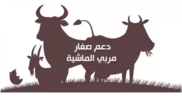 إعانة مربي المواشي في ريف السعودية