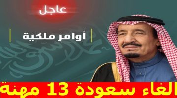 إلغاء السعودة على 13 مهنة