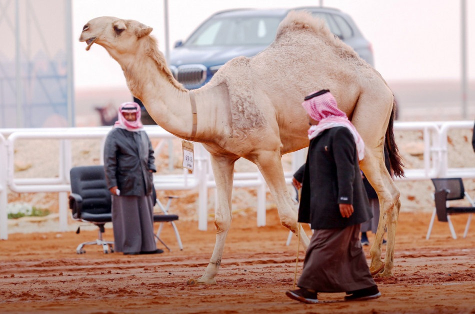 ابن لبدان وش يرجع.. كم عمر حمد ابن لبدان؟