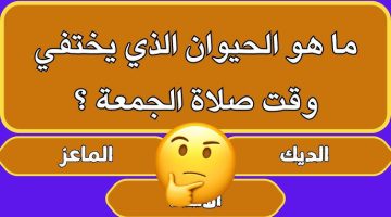 اسئلة دينية مع الجواب. من اجمل الاسئلة الدينية؟