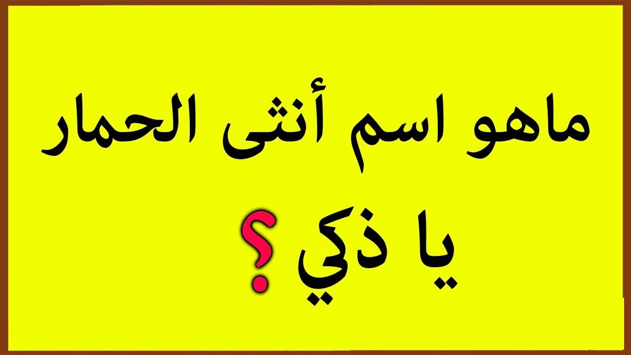 +250 اسئله ذكاء مع اجوبه صعبة