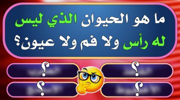 اسئله عامه مع الاجوبه