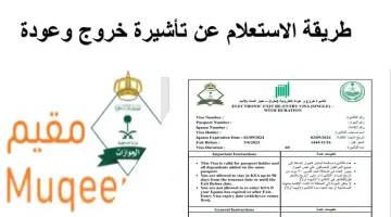 استعلام عن تأشيرة الخروج والعودة