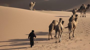 اسماء الصحابة المبشرين بالجنة