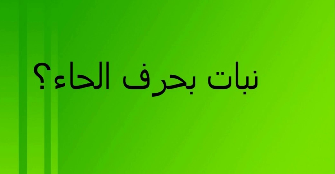 اسماء بنات بحرف الحاء “ح” قائمة أسماء بنات ومعانيها