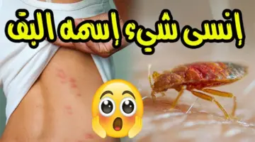 التخلص من بق الفراش