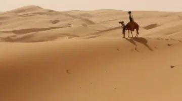 الجبري وش يرجع؟ قبيلة الجبري هي