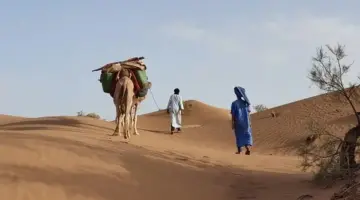 الخرجي وش يرجعون . ما هو أصل الخرجي؟