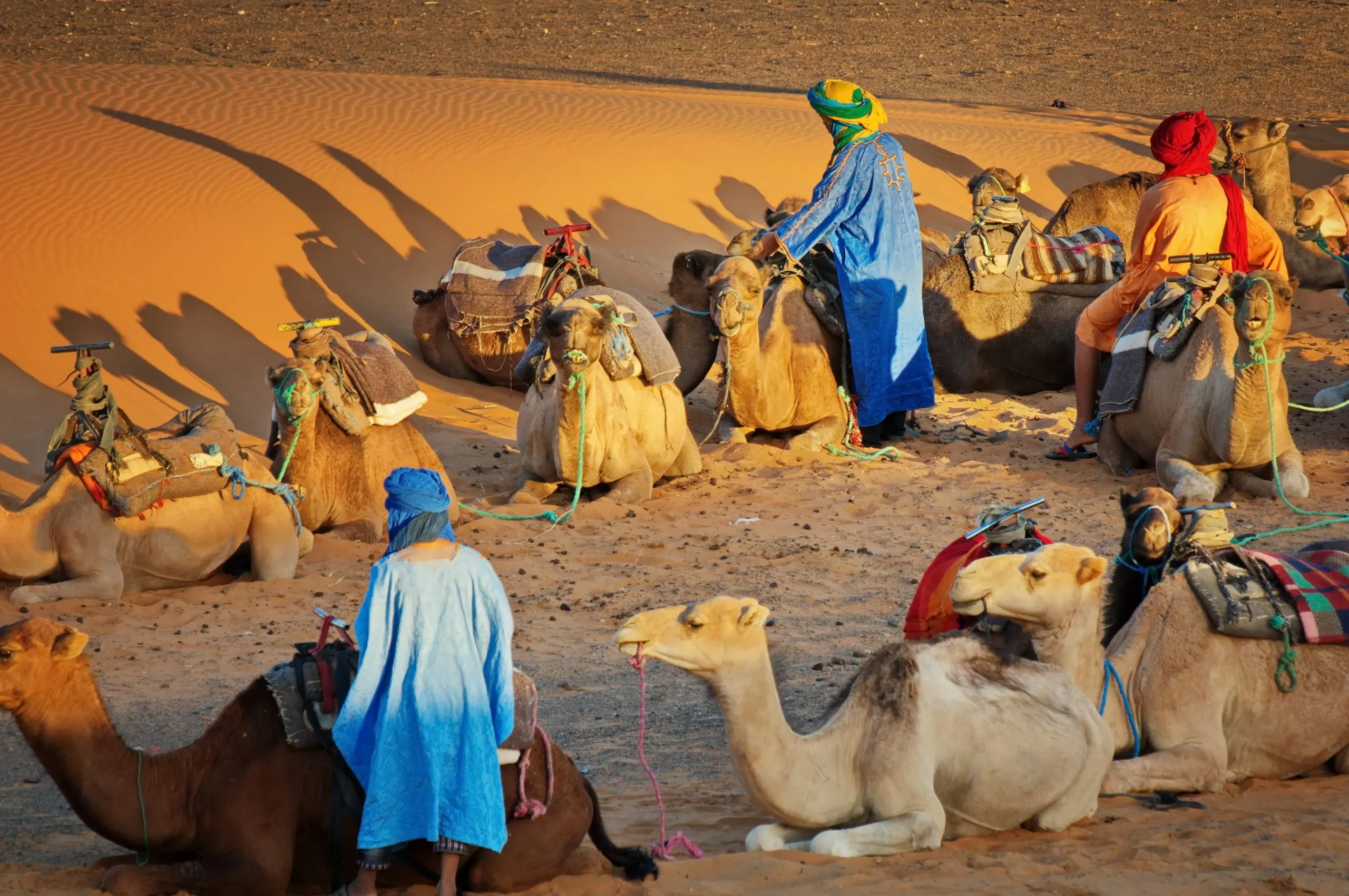 السالمي وش يرجع.. من اين قبيلة السالمي؟