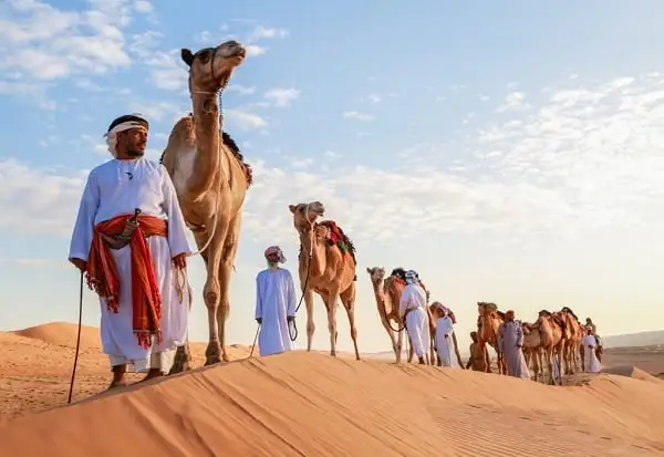 الصاعدي وش يرجع.. أصل عائلة الصاعدي؟