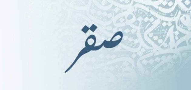 الصفات الشخصية لحامل اسم صقر وعيوب حامل الاسم في علم النفس