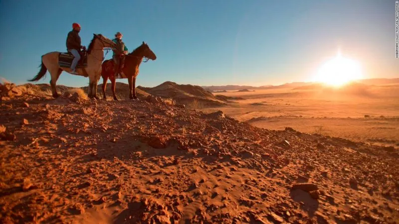 العرفج وش يرجعون؟ أصل عائلة العرفج