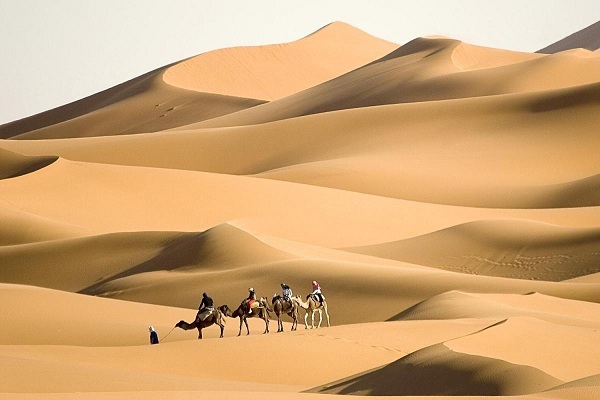 الغشمري وش يرجع.. أصل عائلة الغشمري من وين