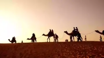 المشرافي وش يرجع