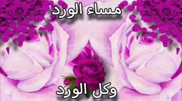 تحية مسائية للاصدقاء