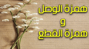 تدريبات على همزة الوصل والقطع Pdf للصف الثالث الثانوي